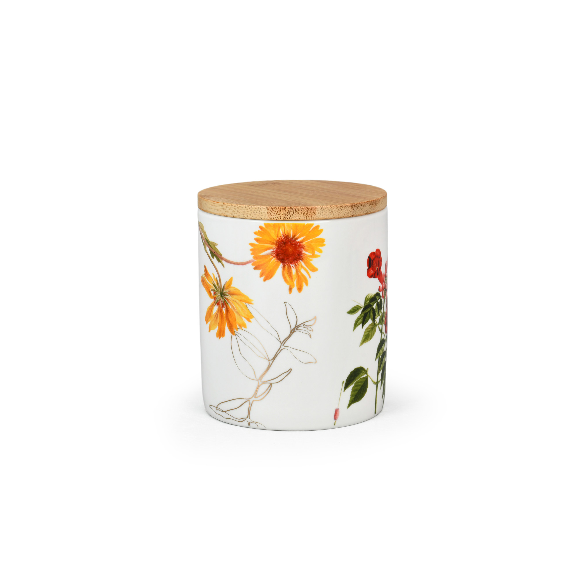 Botanica 600ml Porcelain Coffe
